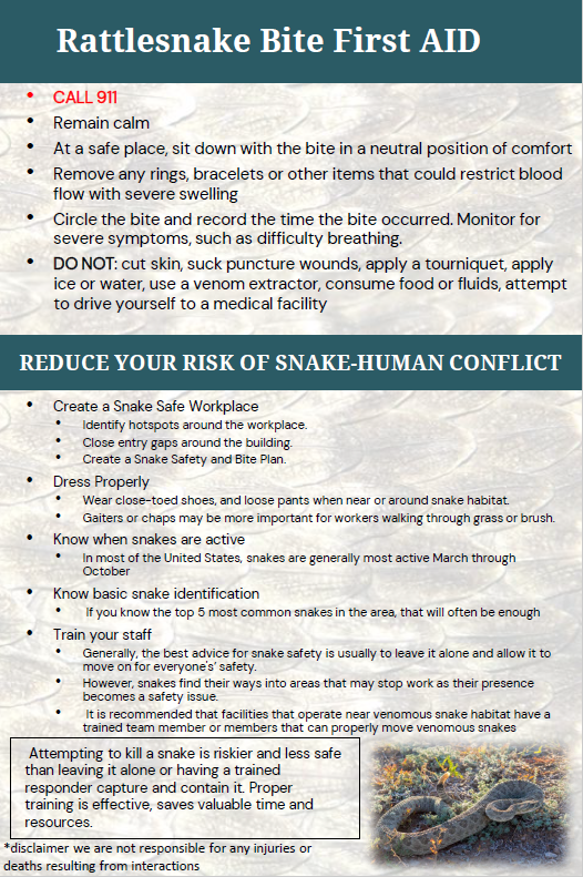 PW rattlesnake safety 2